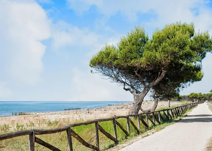 Bright Flat With Terrace Overlooking The Sea Daire